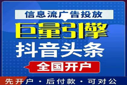 竞价托管服务对比：不同平台的优劣分析